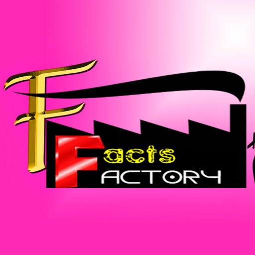 Facts Factory